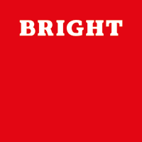 BRIGHT group logo